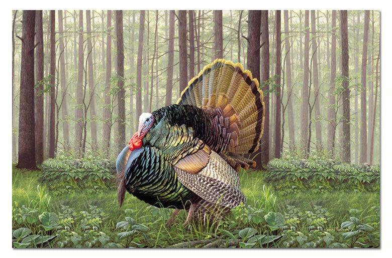 Game Birds Paper Placemats Set of 24
