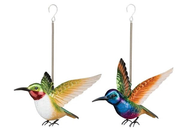 Hummingbird Bouncies Set of 2
