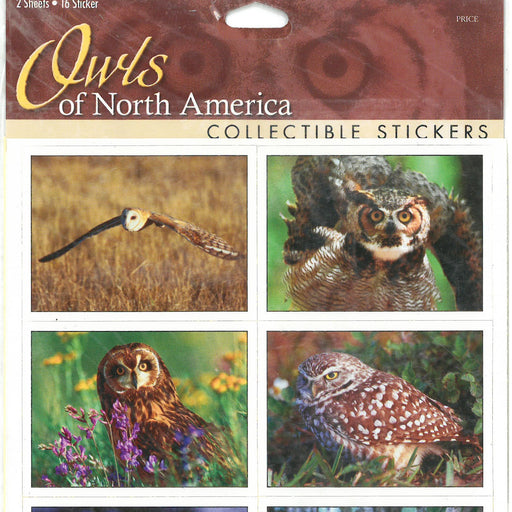 Owls North America Stickers 18 Ct