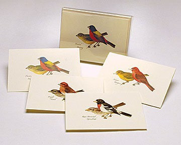 Peterson Bird Notecard Assortment II 4 Styles 2 Each