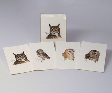 Petersons Owls Notecard Assortment 4 Styles 2 Each