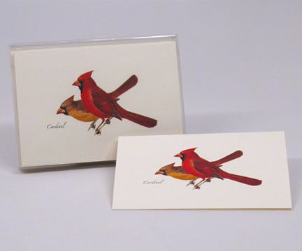 Cardinal Notecards Pack of 8