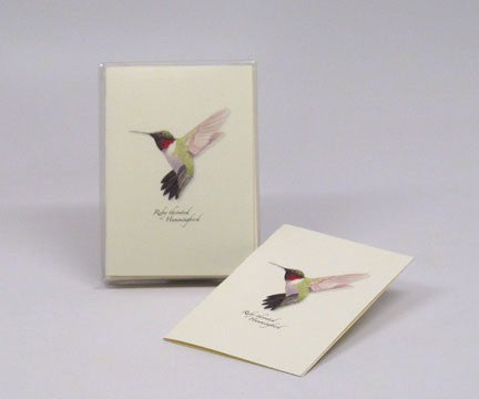 Ruby Throated Hummingbird Notecards Pack of 8