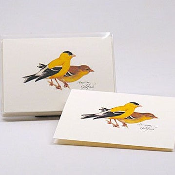American Goldfinch Notecards Pack of 8