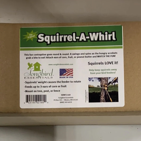 Squirrel A Whirl 4 IN x 13 IN