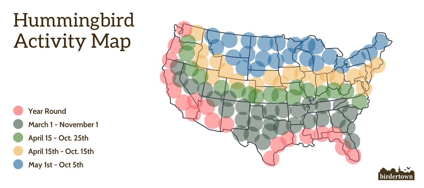 Hummingbird Map Hummingbird Migration Guide — Birdertown