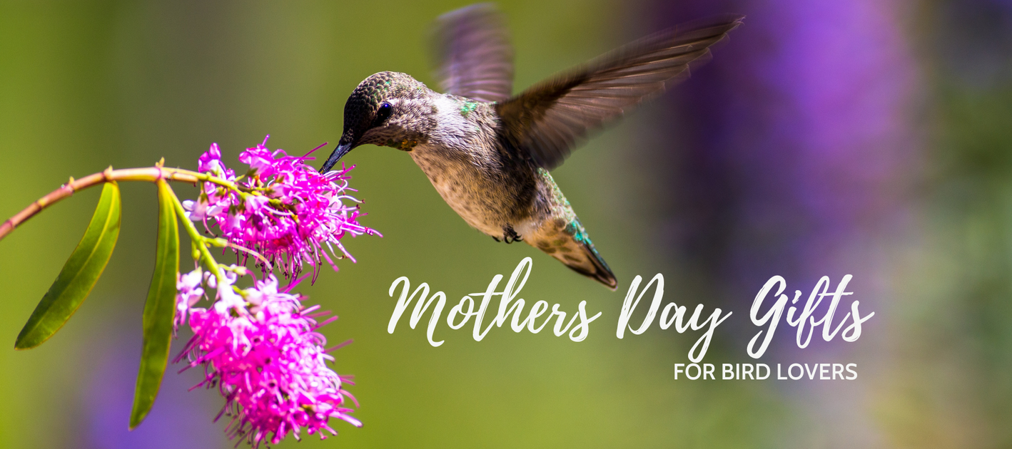 https://birdertown.com/cdn/shop/articles/Mothers-Day-Blog_1418x630.png?v=1681141936