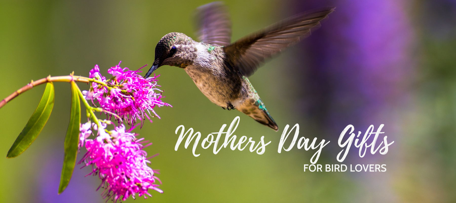 Mother’s Day Gifts for Bird Lovers 
