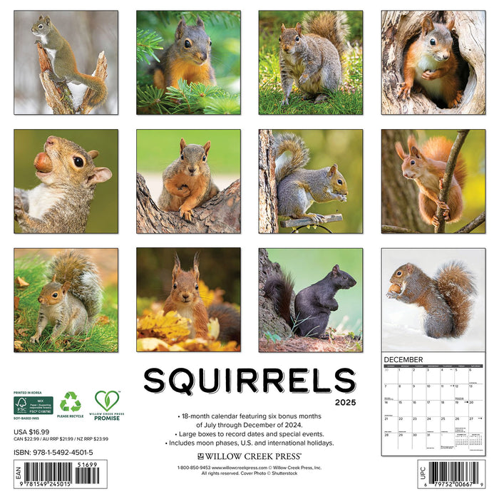 2025 Squirrels Wall Calendar 12 IN