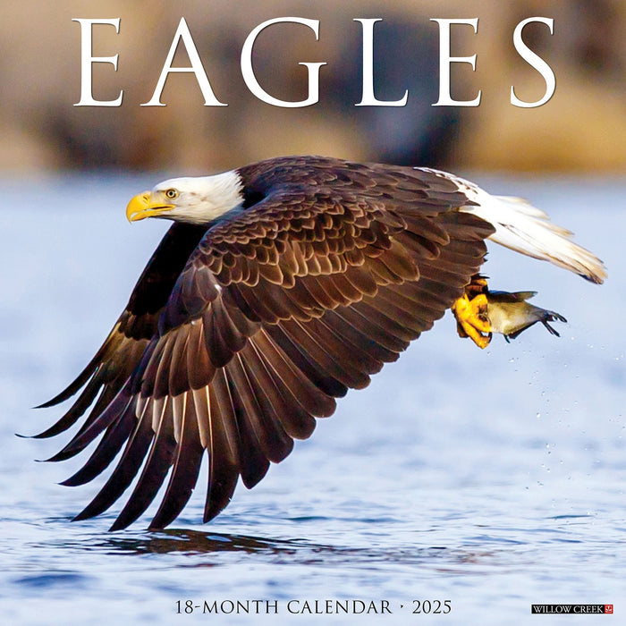 2025 Eagles Wall Calendar 12 IN