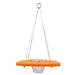 Orange Oriole Feeder with a metal chain on a white background