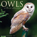 2025 Owls Wall Calendar 12 IN