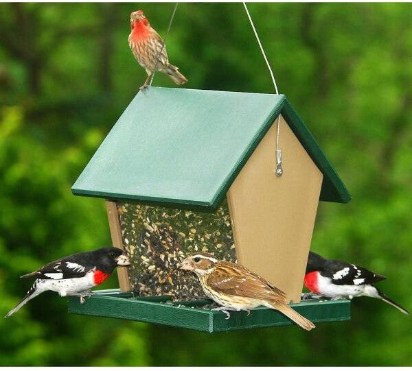 Recycled Plastic Large Hopper Bird Feeder