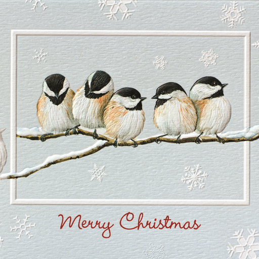 Chickadees on a Christmas Card