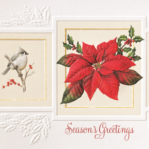 Gray Jay and Chickadee with Poinsettia on a Christmas Card