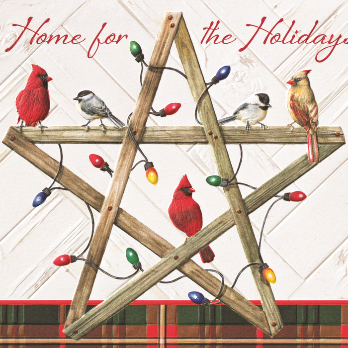 Cardinals and Star on a Christmas Card