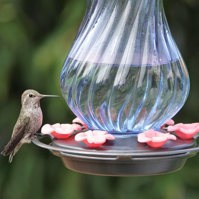Hummingbird perched on a glass hummingbird feeder with pink flowers against a blurred green background