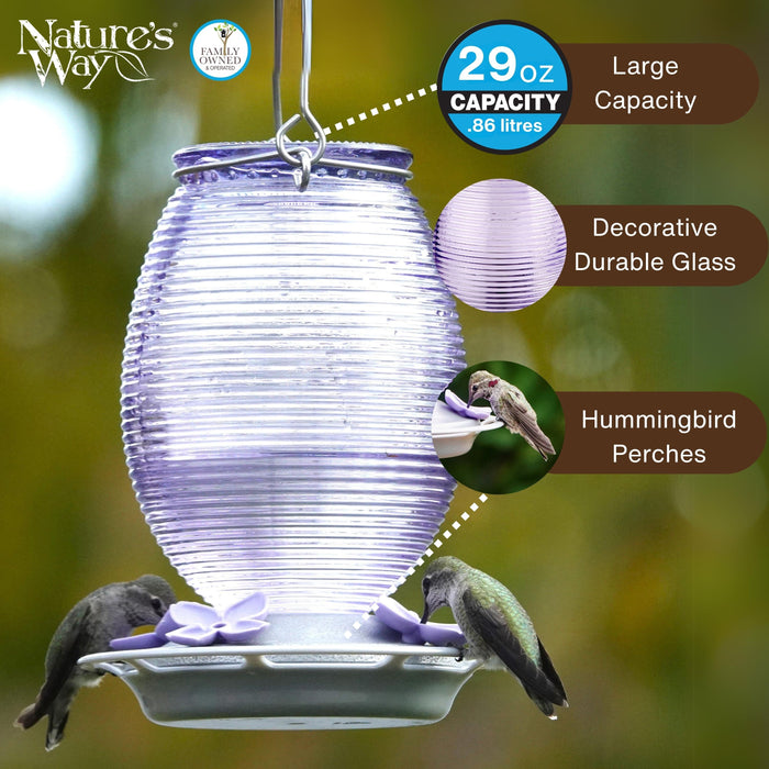 Hummingbird feeder with features highlighted on a blurred natural background