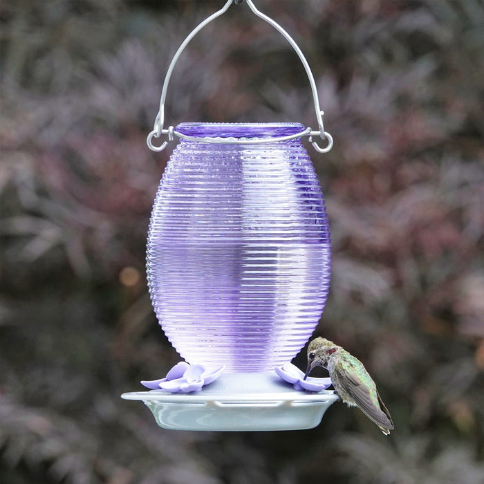 Purple glass hummingbird feeder with a hummingbird perched on it against a blurred natural background