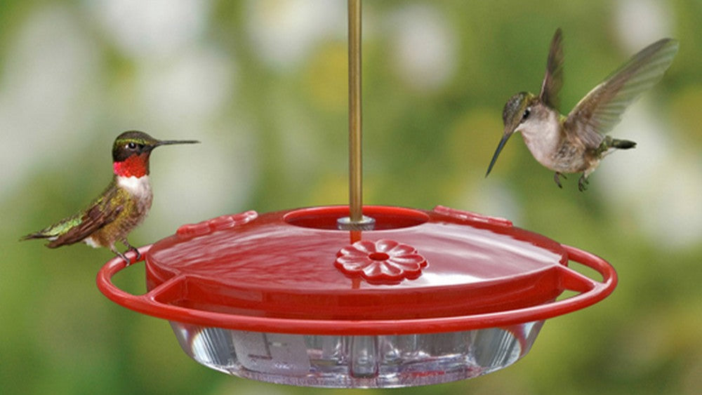 Mini HummZinger – Leak-Proof, Easy-Clean Hummingbird Feeder