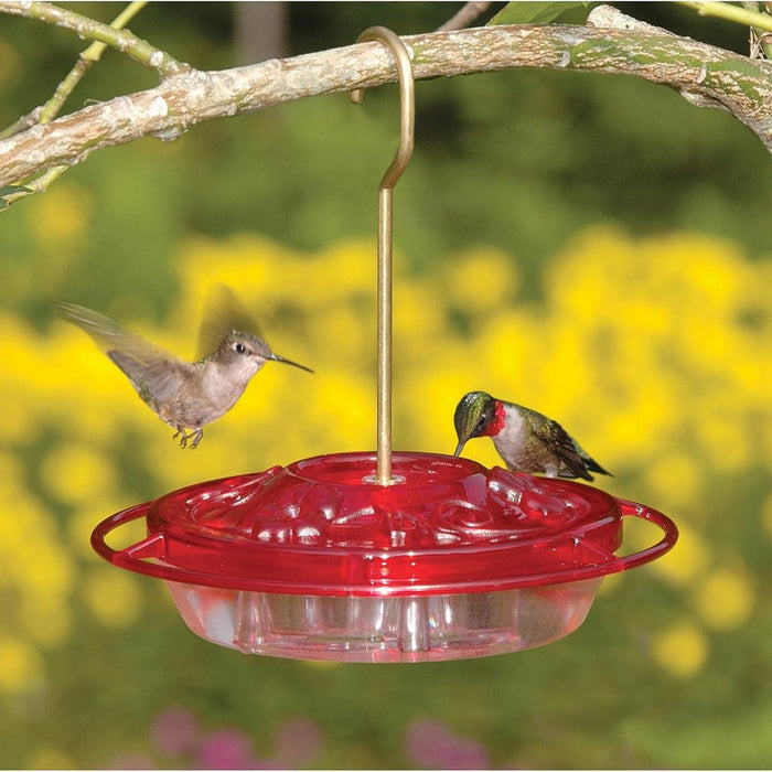 Little Fancy Rose 8 OZ Hummingbird Feeder