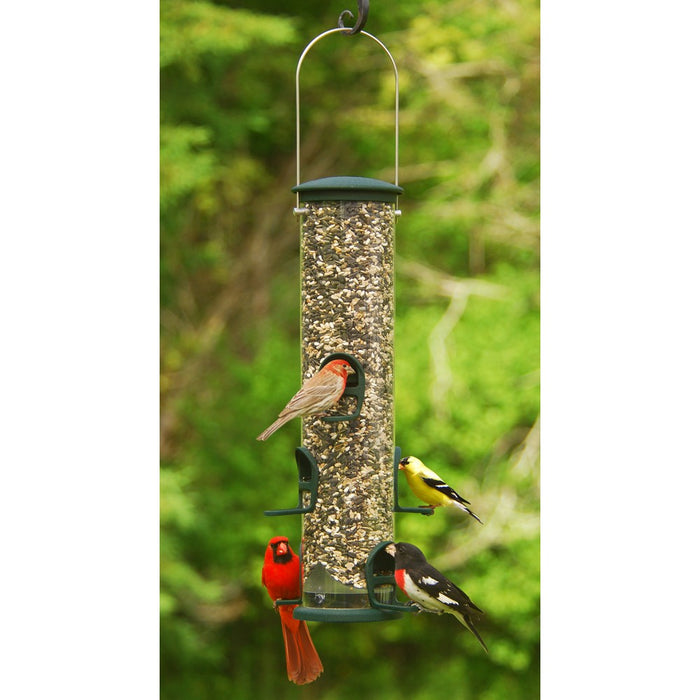 Quick Clean Spruce Big Tube Bird Feeder