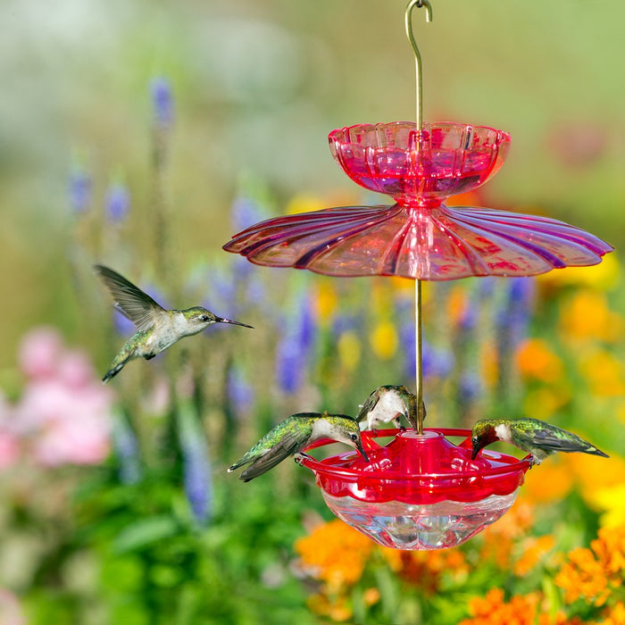 Humm Blossom Accessory Kit