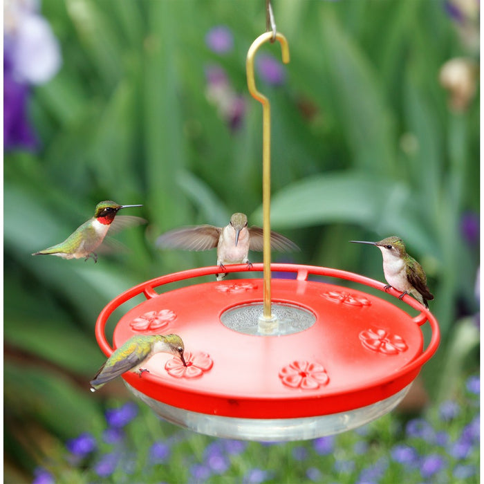 HummZinger HighView Excel 16oz Hummingbird Feeder