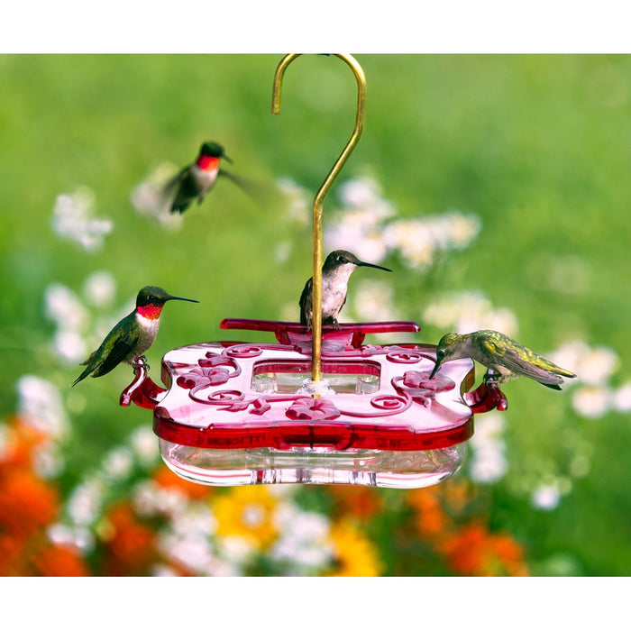HummZinger Square  8 oz Hummingbird Feeder
