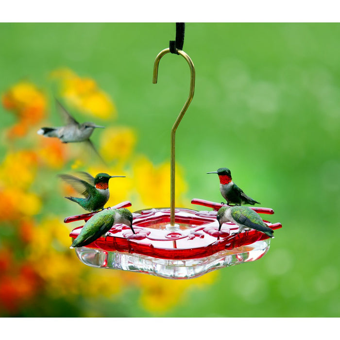 HummZinger Square  8 oz Hummingbird Feeder