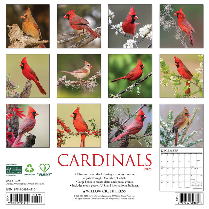 2025 Cardinals Wall Calendar 12 IN