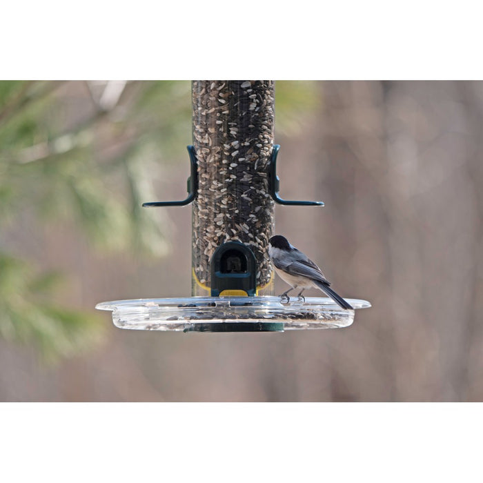 Tube Solution 150 Seed Bird Feeder