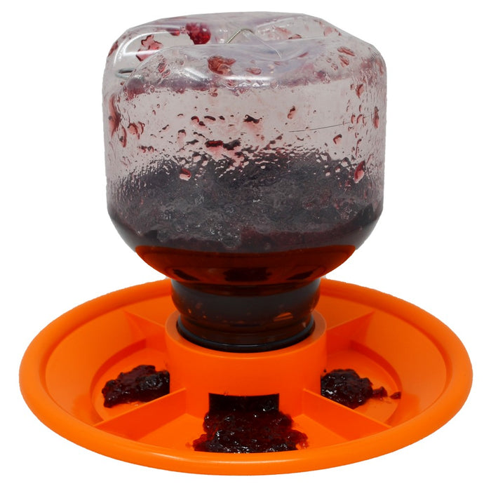 Hummingbird feeder with jelly on an orange base against a white background