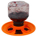 Hummingbird feeder with jelly on an orange base against a white background