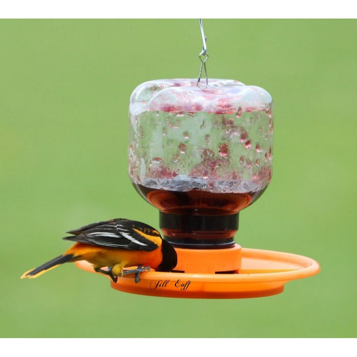 Orange bird feeder with a bird perched on it against a green background