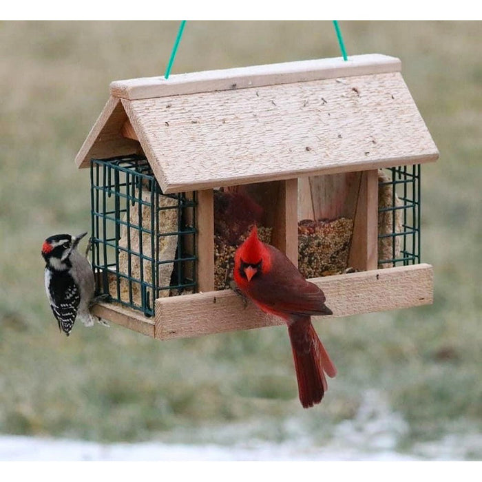 Double Option Hopper Bird Feeder with Suet Cages
