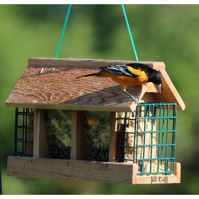 Double Option Hopper Bird Feeder with Suet Cages