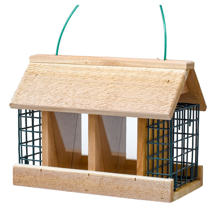 Double Option Hopper Bird Feeder with Suet Cages
