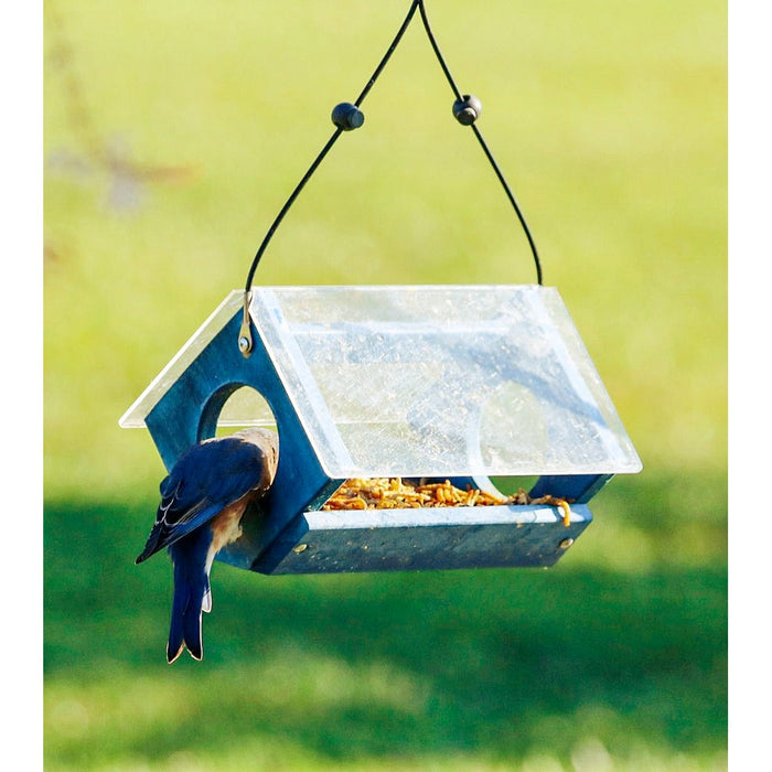 Petite Bluebird Feeder