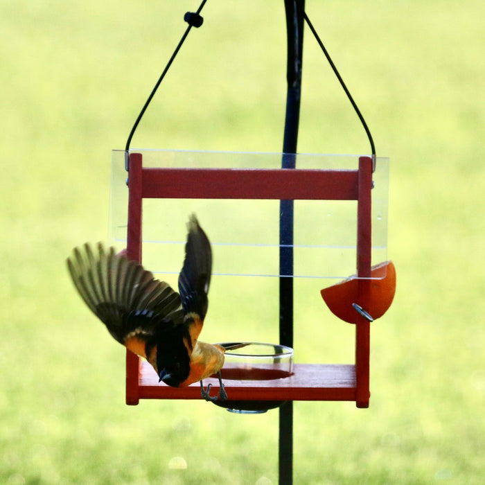 Bird perched on a red bird feeder with a blurred green background