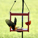 Bird perched on a red bird feeder with a blurred green background