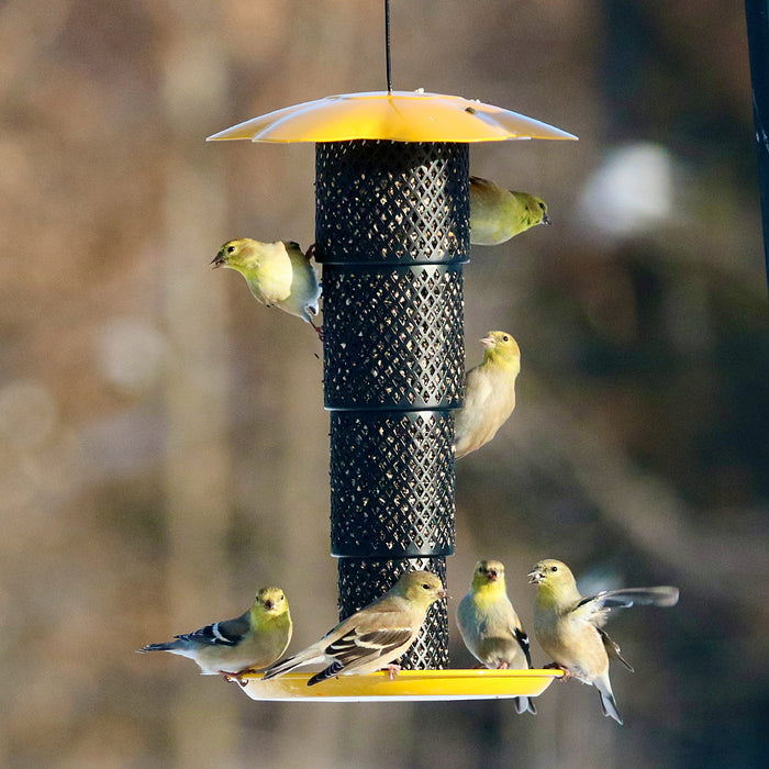 Sunflower Kernel Collapsible Diamond Mesh Bird Feeder