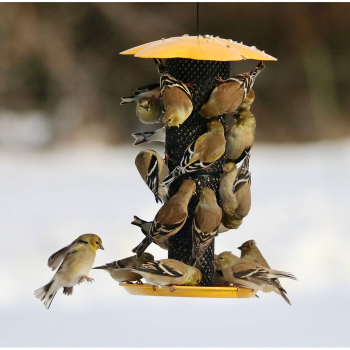 Sunflower Kernel Collapsible Diamond Mesh Bird Feeder