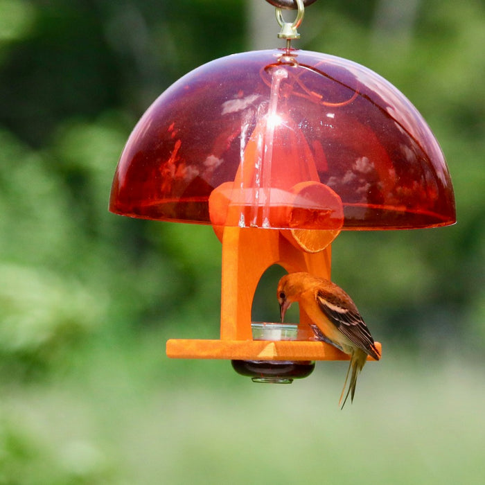 Bird feeder with a bird perched on it against a blurred green background