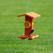 Bird feeder with oranges and a bird on a green background