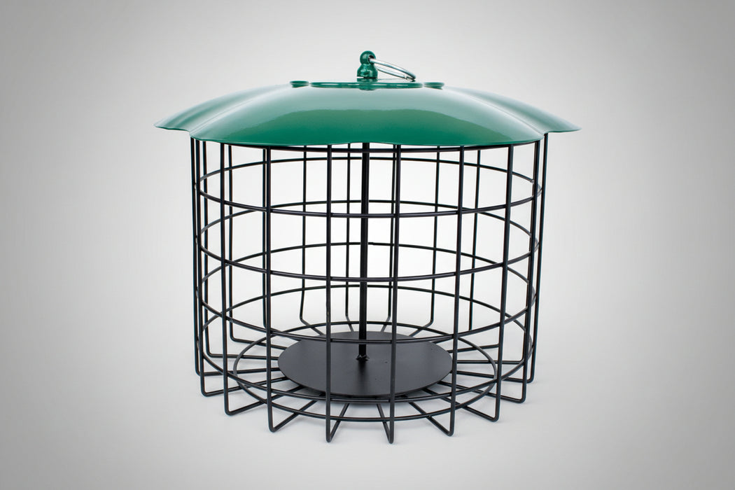 Bird Suet Log feeder with green top and black wire cage on a white background
