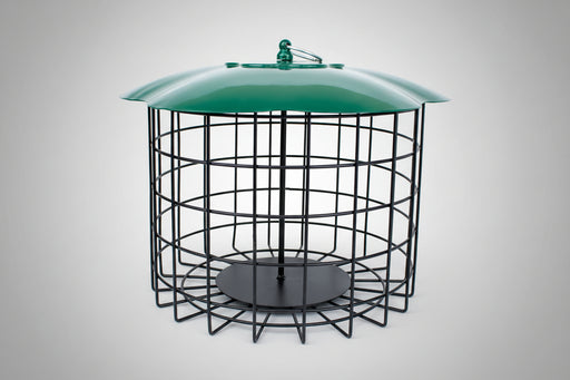 Bird Suet Log feeder with green top and black wire cage on a white background