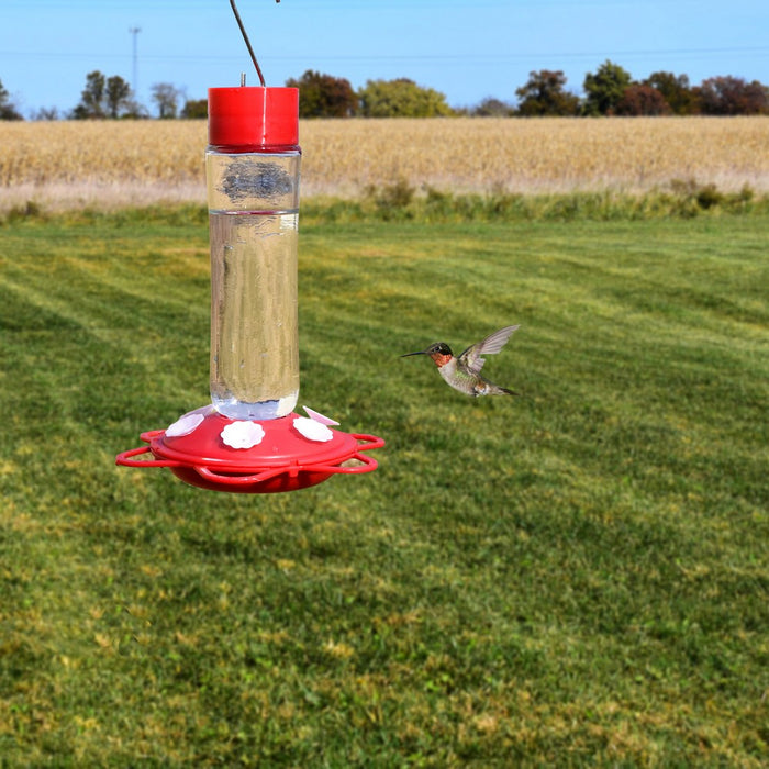 Glass Bottle 10oz Hummingbird Feeder