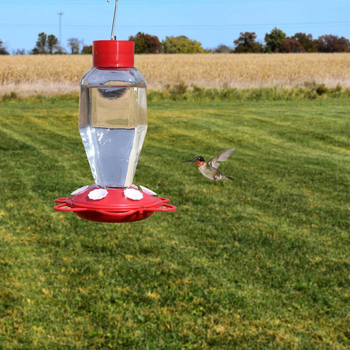 Glass Bottle 20oz Hummingbird Feeder