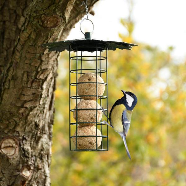 Suet Ball Dispenser w/Leaf Roof